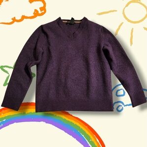 Banana Republic 100% Extra Fine Merino Wool V Neck Boys Sweater Size Medium